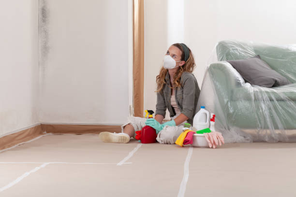 Reliable Mold Removal contractor in LaFayette, GA by WQB Mold Removal